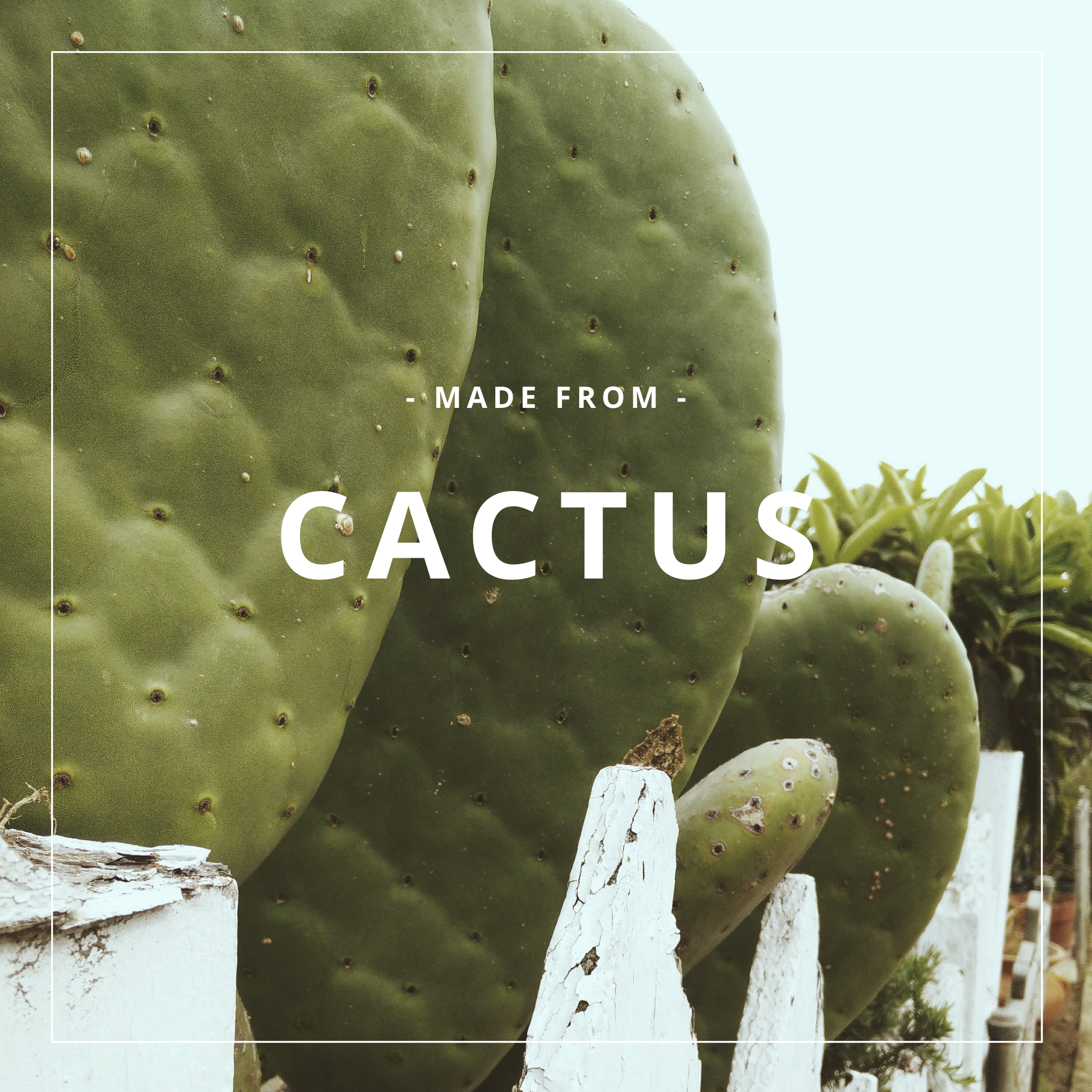 VEDERWERK - Base - Classic - Cactus Gray Pampas in Grey