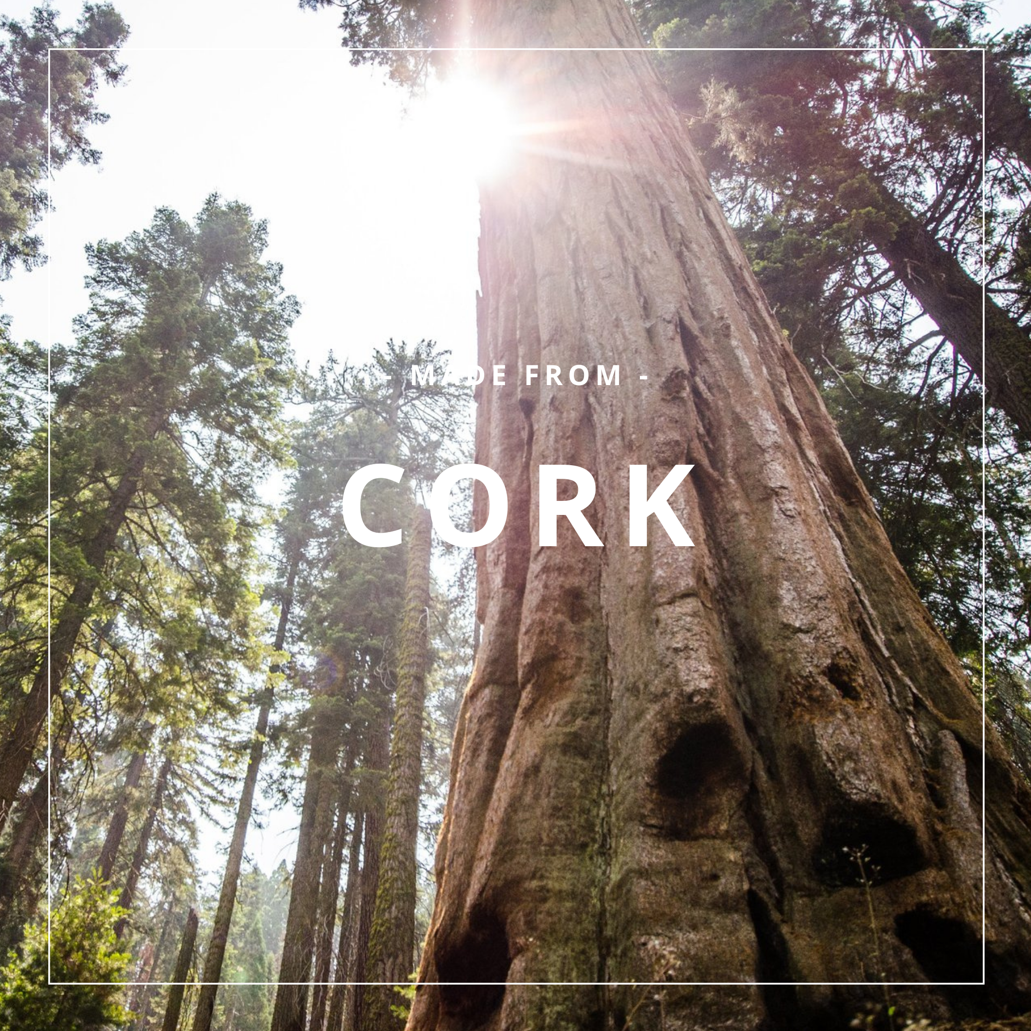 VEDERWERK - Flap - Classic - Cork Nature in Nude