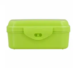 Biodora organic plastic lunch box with hinge closure in green