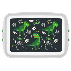 Biodora - Lunchbox with print "Dino" (organic plastic)
