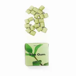 True Gum - Mint Matcha, 20g