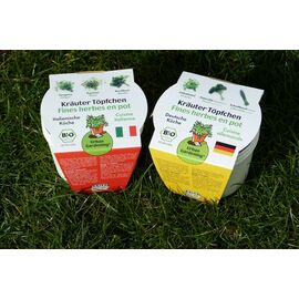 ARIES environmental products - herbs breeding italian and german cuisine