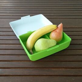 Gies - lunch box (sugar cane)