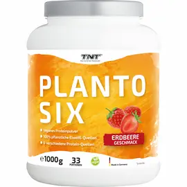 TNT Planto Six (1000g) | vegan protein powder strawberry