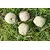 ARIES Umweltprodukte - Seed balls bee pasture