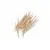 Biodora beech wood toothpick